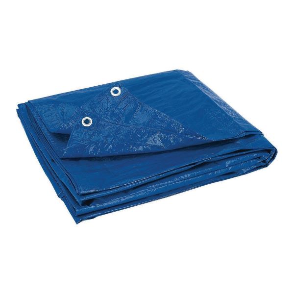 Tarpaulin 18x24  Blue TOOLWAY