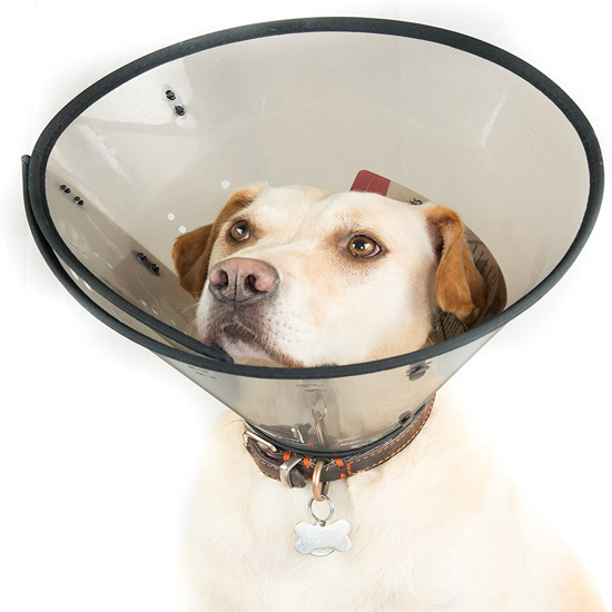 DOG COLLAR PLASTIC 14" ASSORT