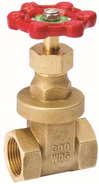 Gate Valve 1/2 Thd-PROLINE