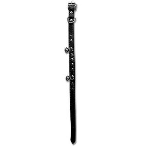 Collar Dog 13'' BLACK