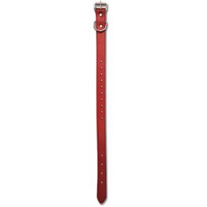 Collar Dog 19'' RED