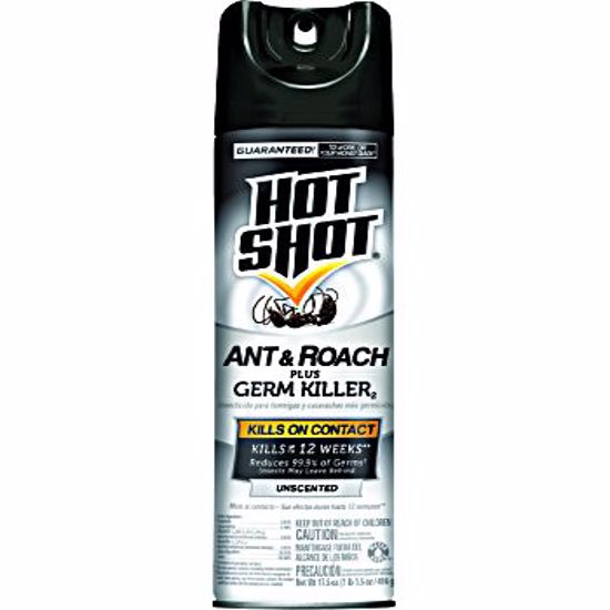 ANT&ROACH SPRAY