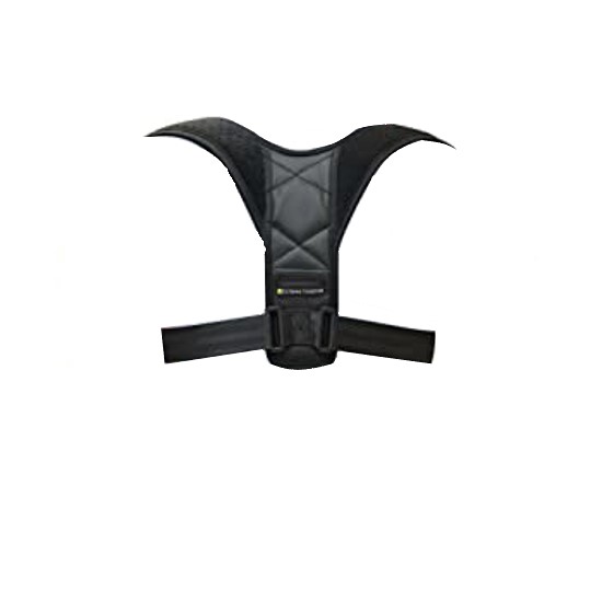 Back Support Belt (M) Legend