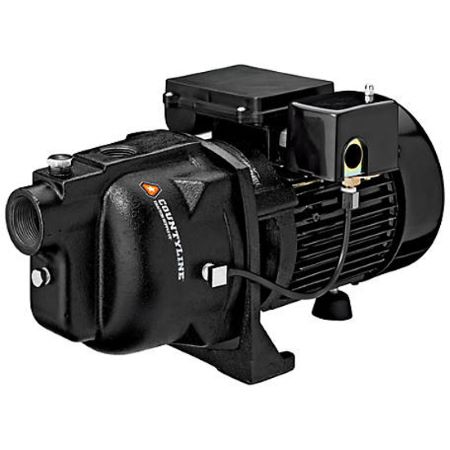 Jet Pump 1/2HP 110/220V BRN
