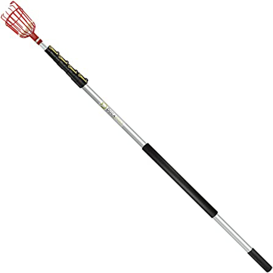 FRUIT PICKER POLE
