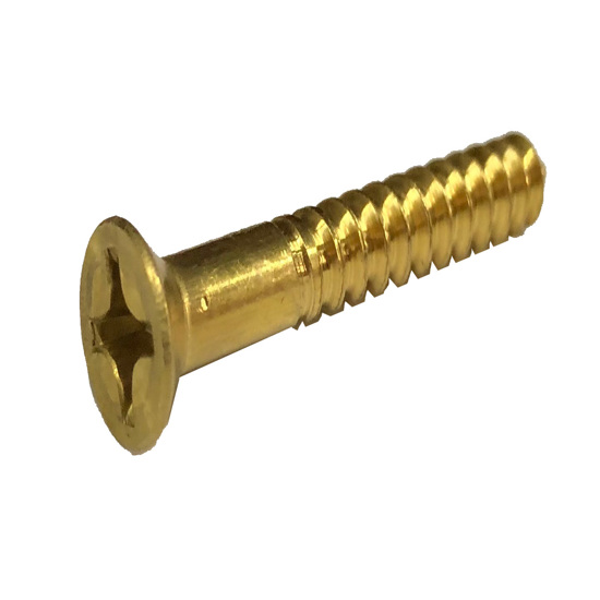 8X1 Brass Screw