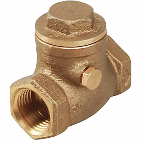 Check Valve 3/4 Swing
