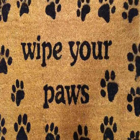 Floor Mat WIPE YOUR PAW