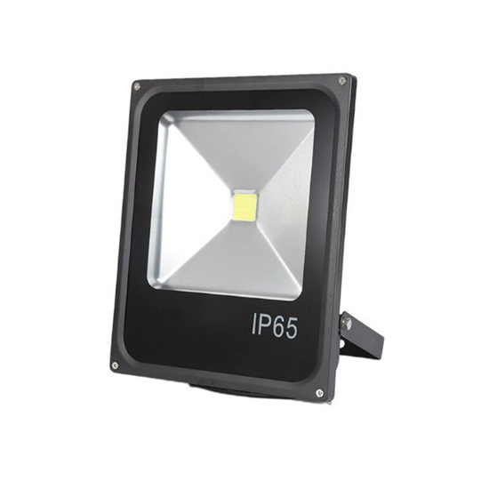 Floodlight LED 10W REG