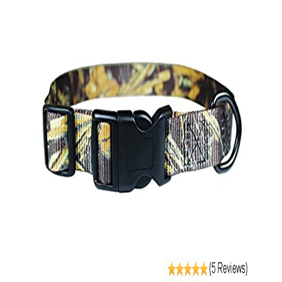 DOG COLLAR OMNIPET 5/8 16"