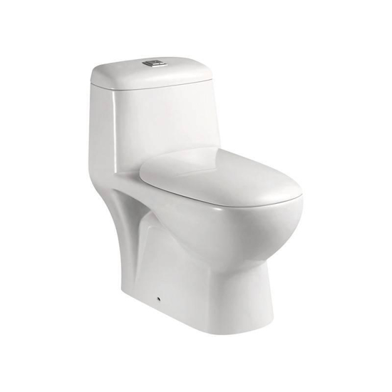 Toilet P-Trap W/BIDET LOTUS W