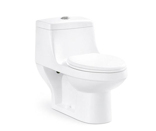 Toilet Set S-Trap  Dual Fllush