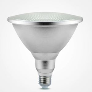 Spotlight LED PAR38